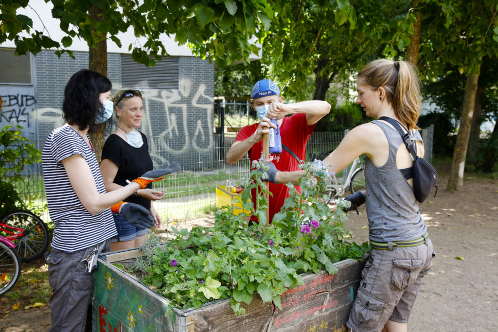 Impression der Aktion: Gärtnern, Malen und Bauen im Schäfergarten